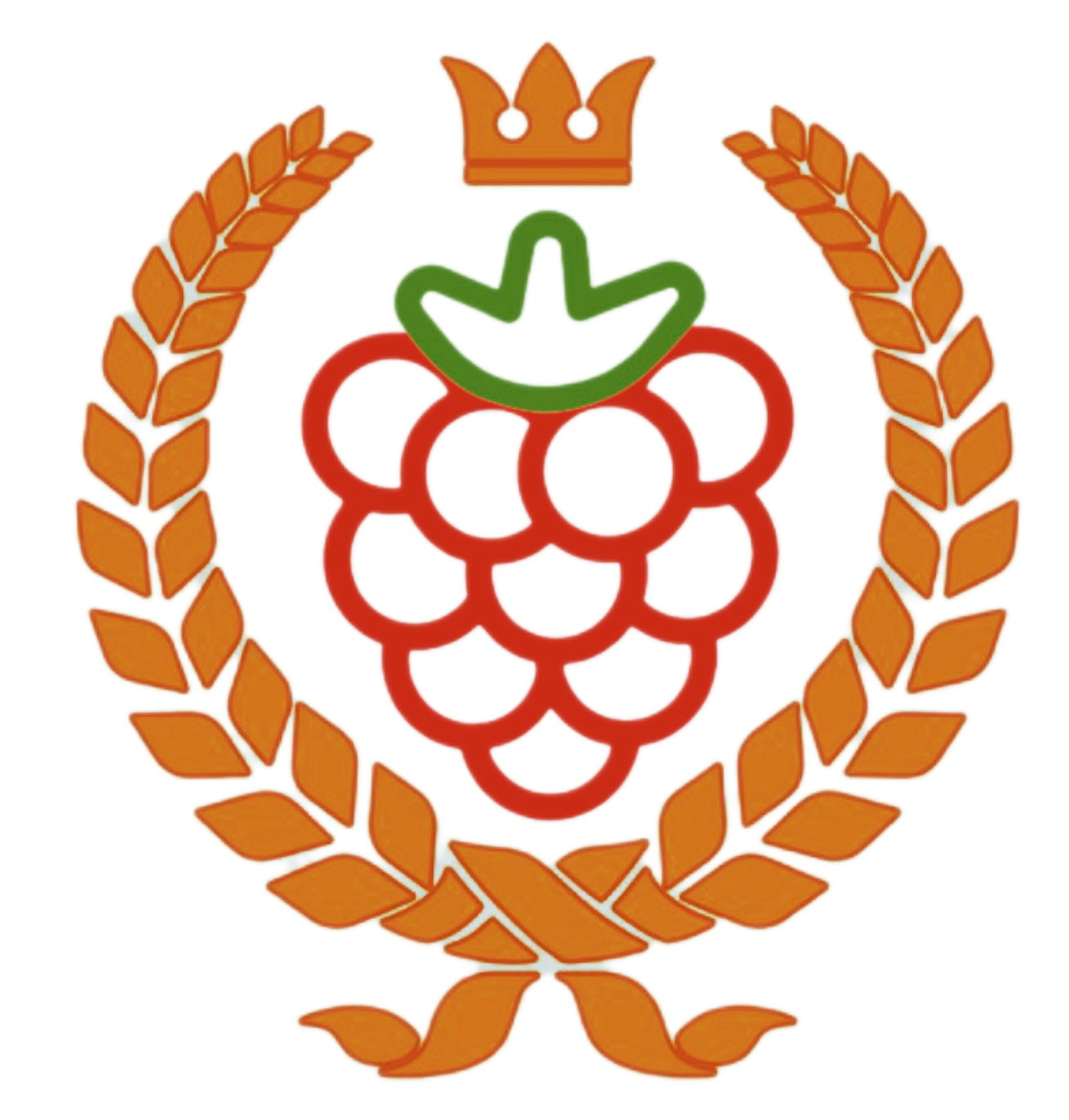 Raspberry Nation Logo